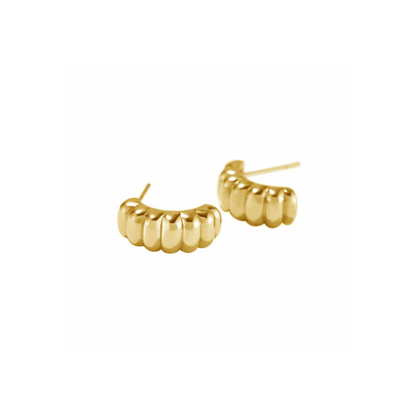 Shelly Earrings in Gold