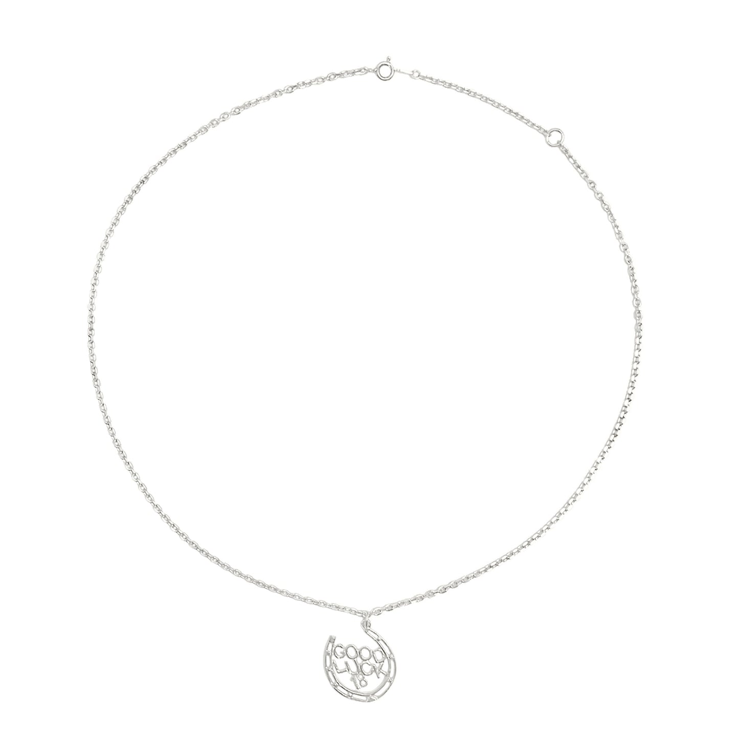 Good Luck Charm Silver Chain Necklace