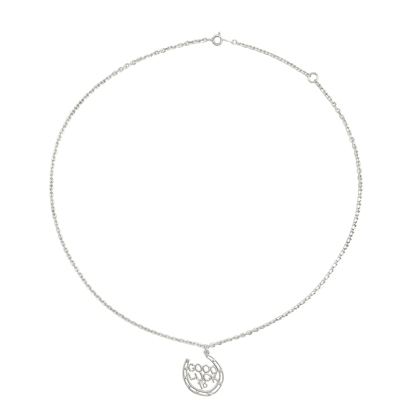 Good Luck Charm Silver Chain Necklace