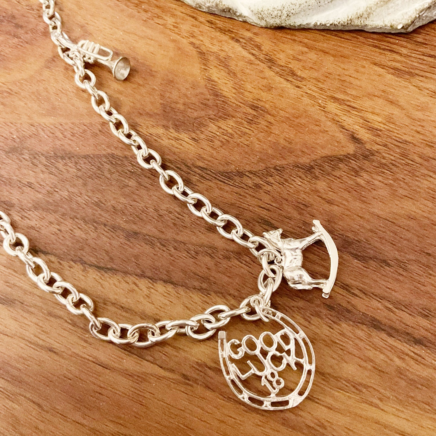 Heavy Chain Silver Necklace with Multi Charms