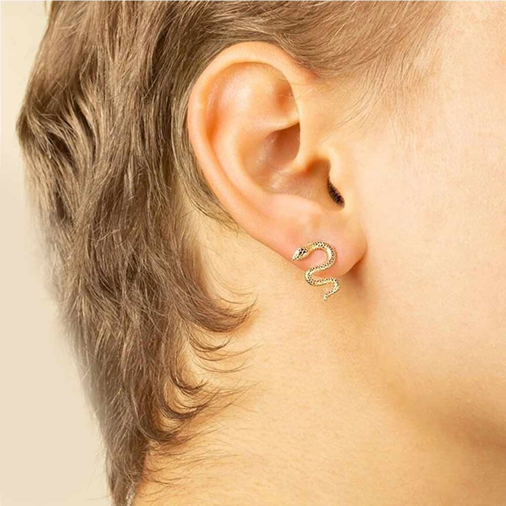 Snake Stud Earrings in Silver