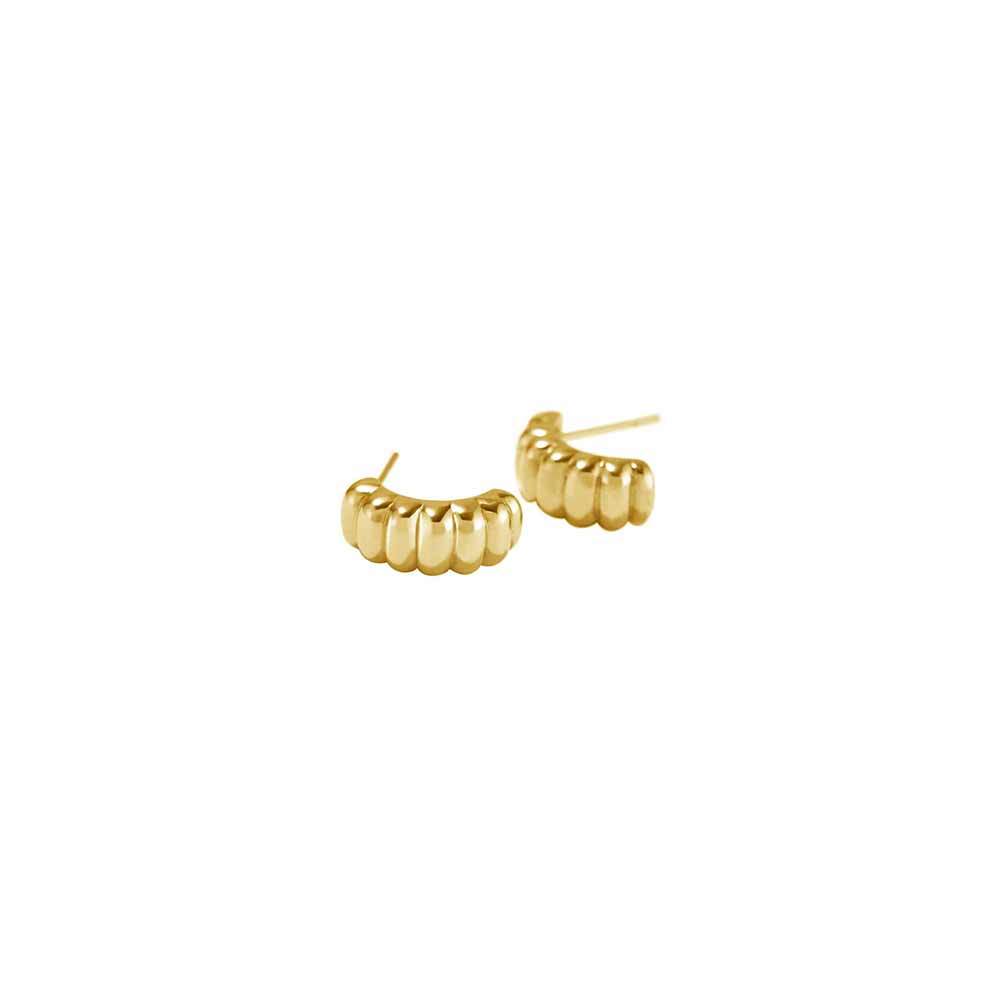 Shelly Earrings in Gold