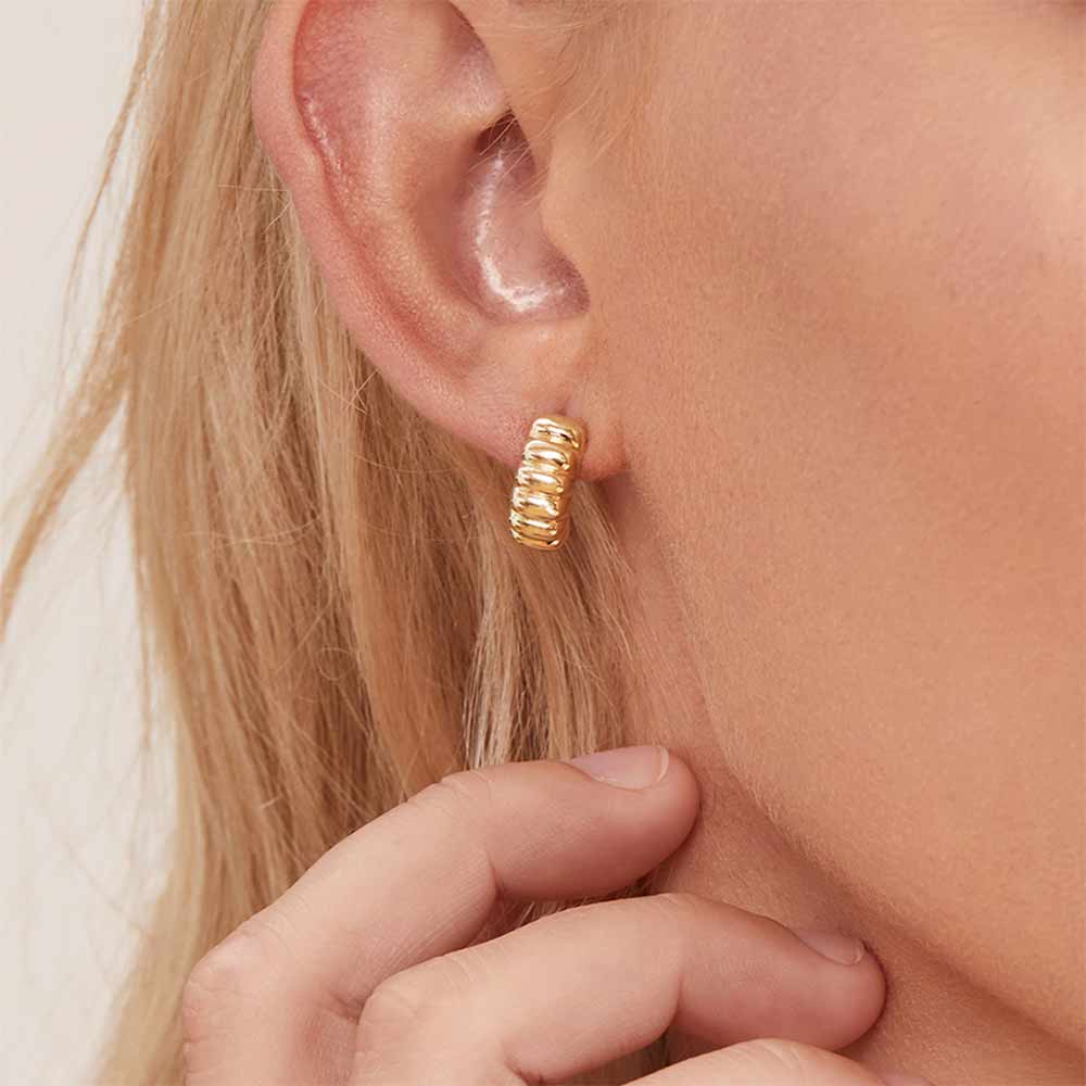 Shelly Earrings in Gold